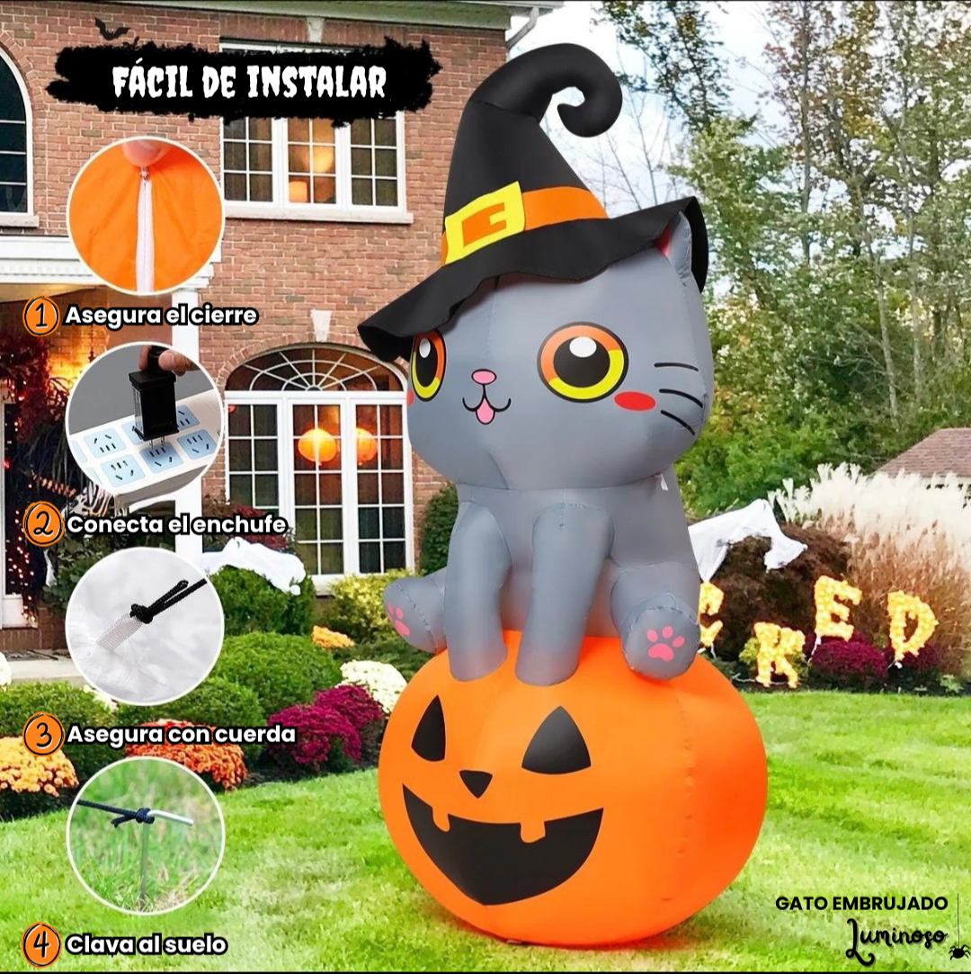 Gato Embrujado Luminoso