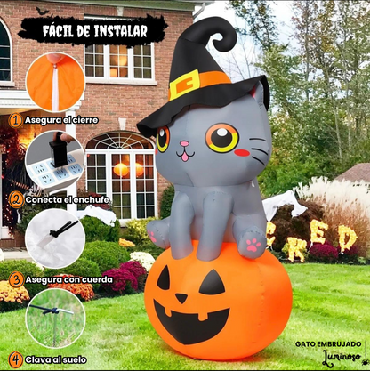 Gato Embrujado Luminoso